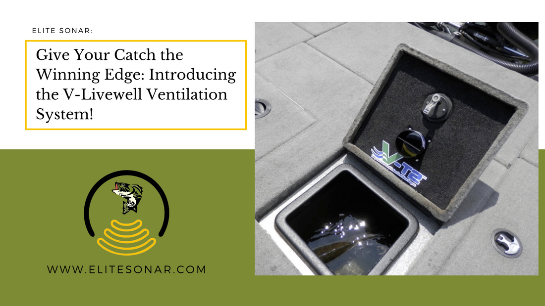 Give Your Catch the Winning Edge: Introducing the V-Livewell Ventilation System!