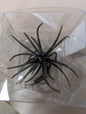 Urchins
