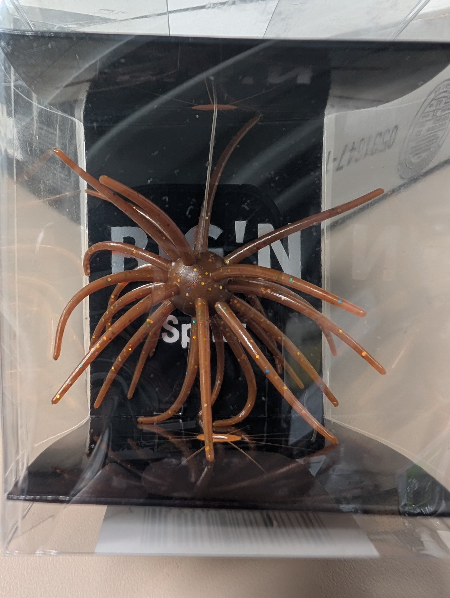 Urchins