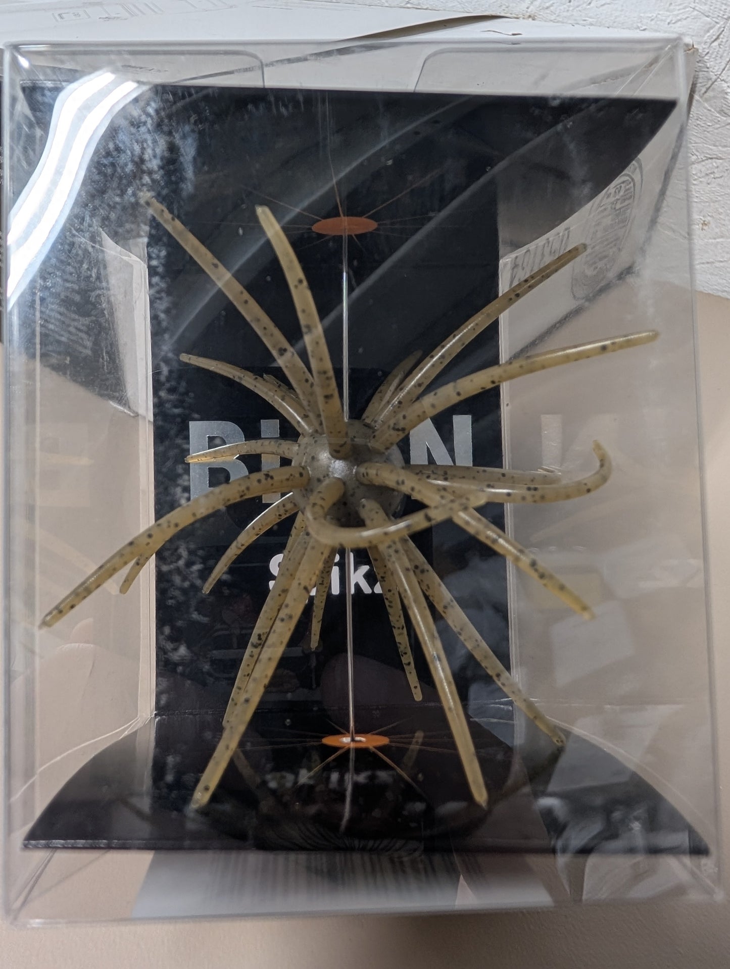 Urchins