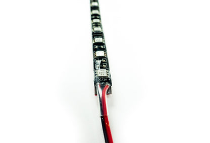 SeeLite Double Trouble Lighting