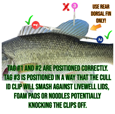 DD26 Fishing Cull ID Tags