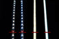 SeeLite Double Trouble Lighting