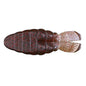 OSP DoLive SS Gill 3.6’